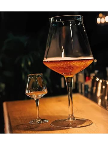 Rastal Craft Beer Riesen-Bierglas Teku XXL 3,2 Liter transparent in transparent