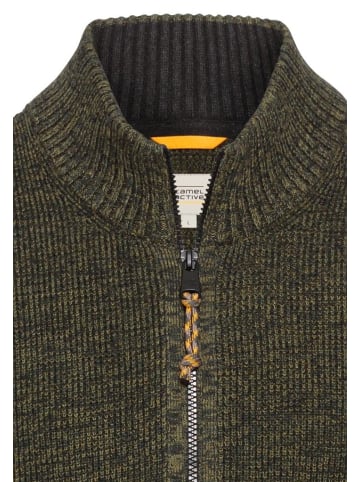 Camel Active Sweatshirt in leaf green