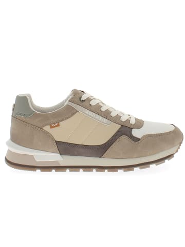 Armata di Mare Sneaker AMU1N944-BEIGE Beige
