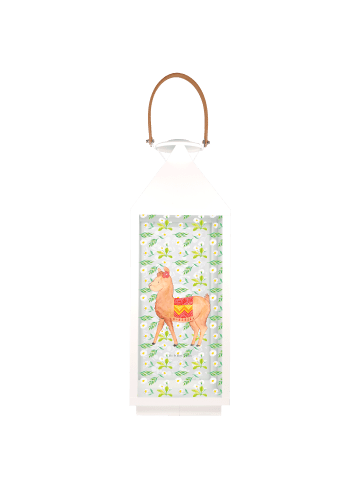 Mr. & Mrs. Panda Laterne Alpaka Stolz ohne Spruch in Transparent