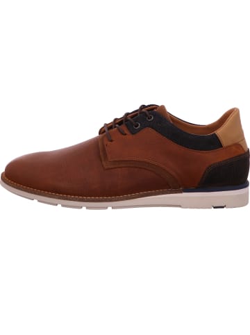 Bullboxer Sneaker in braun