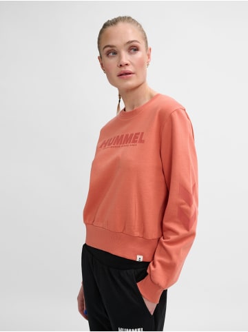 Hummel Hummel Sweatshirt Hmllegacy Damen in APRICOT BRANDY