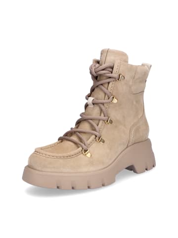 Paul Green Schnürboot in Beige