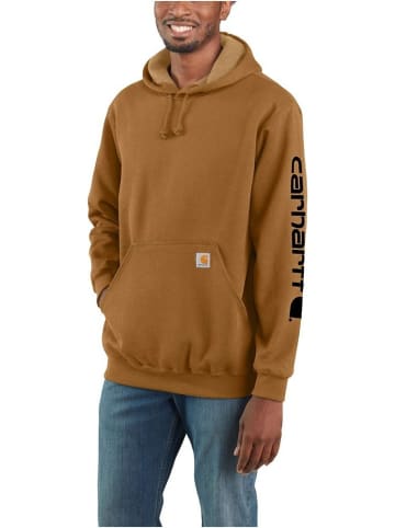 CARHARTT  Hoodie "K288" in Braun