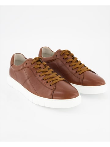 Pius Gabor Sneaker low in Braun