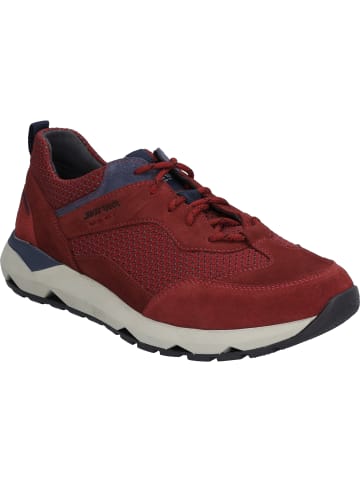 Josef Seibel Sneaker Jeremiah 08 in rot-multi