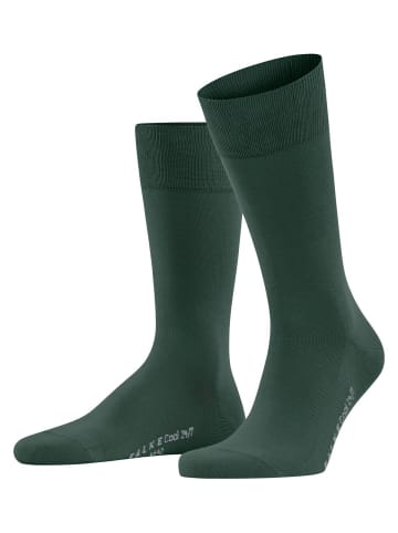 Falke Socken 1er Pack in Grün