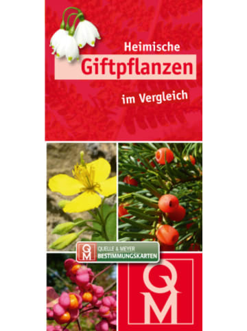 Quelle & Meyer Buch - Heimische Giftpflanzen im Vergleich