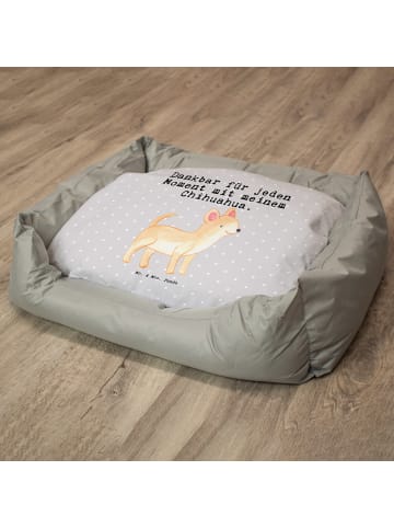 Mr. & Mrs. Panda Kuschelbett Chihuahua Moment mit Spruch in Grau Pastell