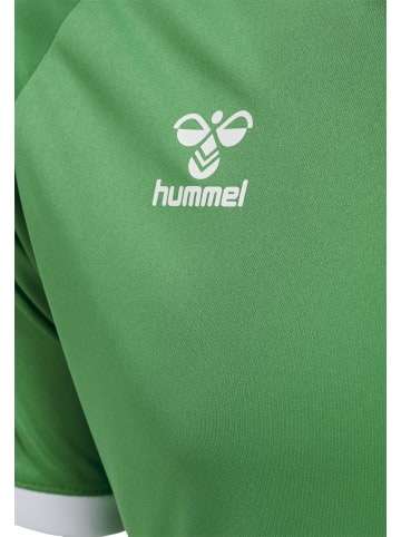 Hummel Hummel T-Shirt Raglanärmel Hmlcore Erwachsene in JELLY BEAN