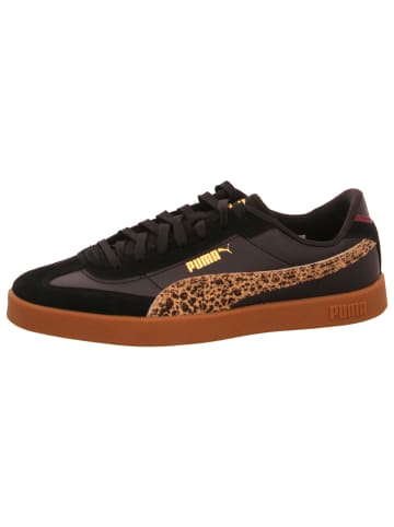 Puma Shoes Sneaker Puma Club II Era in Schwarz