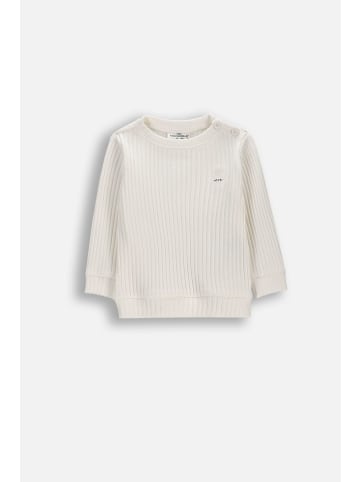 Coccodrillo Strickpullover in ecru
