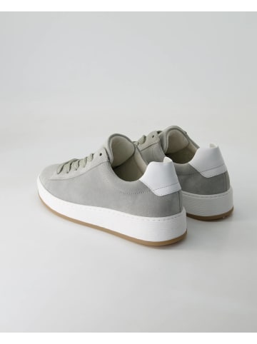 Gabor Comfort Sneaker low in Grün