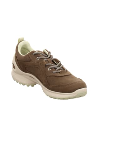 Ecco Schnürschuh in grau