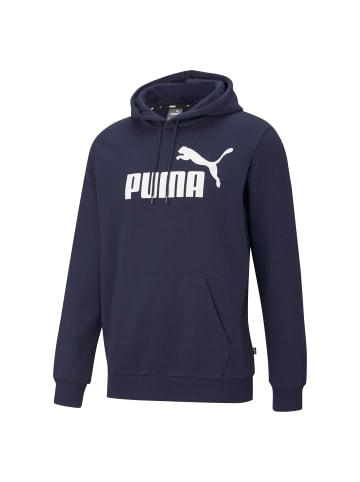 Puma Sweatshirt in Blau