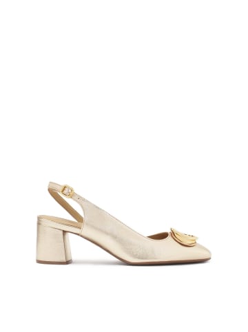 Kazar Pumps in Gold