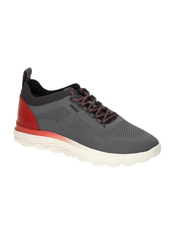 Geox Sportliche Schnürschuhe in Grau