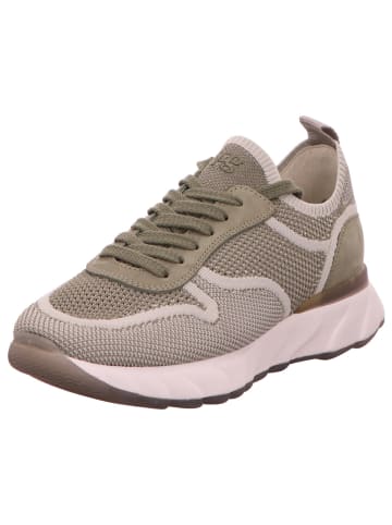 Paul Green Freizeit Schnürer für Damen in khaki