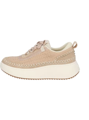 Steve Madden Schnürschuhe in blush