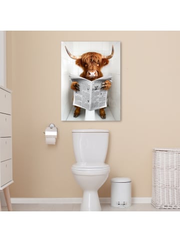 MuchoWow Poster mit Leiste Zeitung Schottisches Hochlandrind  (BxH)