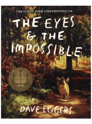 Walker Books Buch - The Eyes & the Impossible