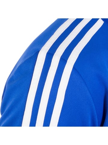 adidas Performance Longsleeve Tiro 19 in blau / weiß