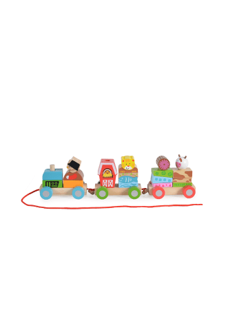 Moni Zug 2036 in bunt