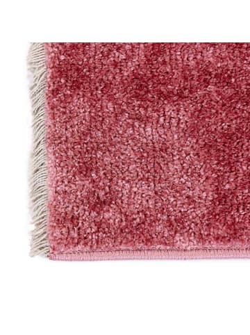 Astra Kurzflorteppich STEVIE 1 in Rosa