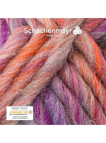 Schachenmayr since 1822 Filzgarne Wash+Filz-it! Multicolor, 50g in Rsprit