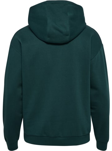 Hummel Hoodie "Loose Hoodie Sportswear" in Grün
