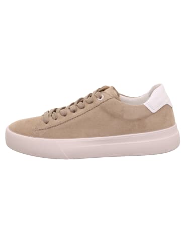 Legero Sneakers Low MONDO in Giotto