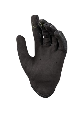 IXS W CARVE GLOVES in Schwarz