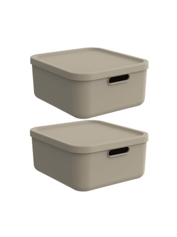 Rotho Albula Light 2er-Set Aufbewahrungskiste 20l in Cappuccino