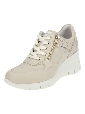 Nero Giardini Sneaker in Ivory