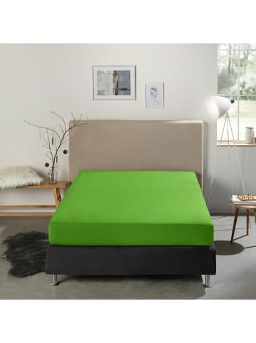REDBEST Single-Jersey Boxspring-Spannbettlaken Denver in apfelgrün