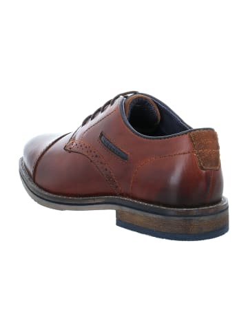 Bugatti Business Schnürschuhe in Braun
