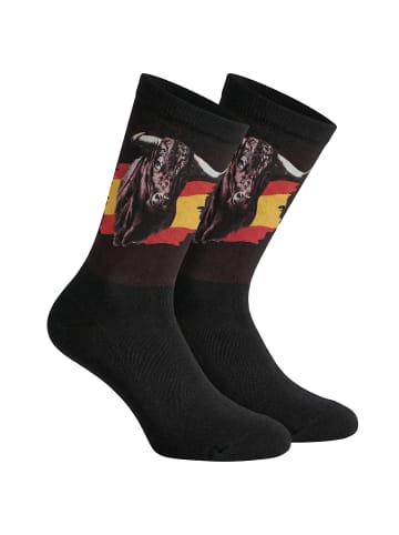 Jenes Socks Socken in Multicolored