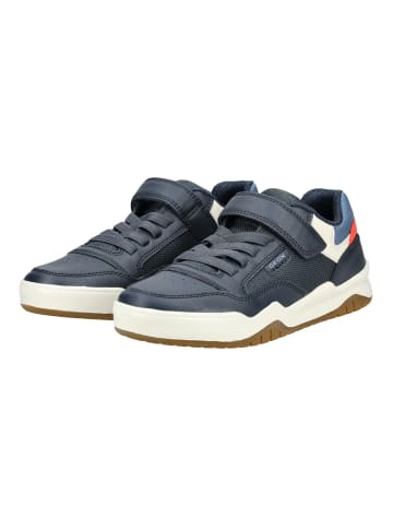 Geox Sneaker PERTH Navy