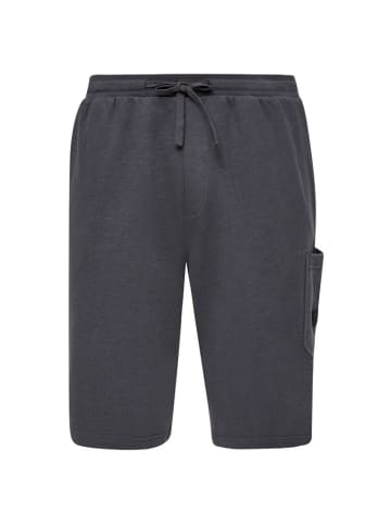 S.OLIVER RED LABEL Short in Grau