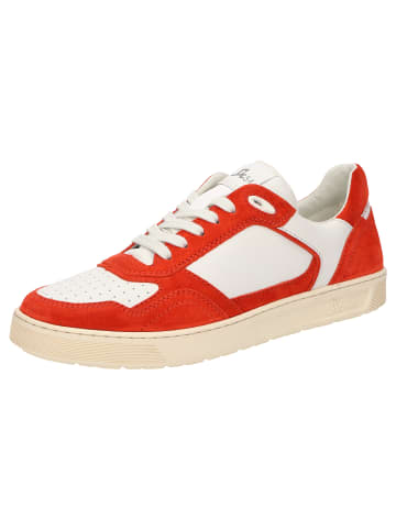 Sioux Sneaker Tedroso-704 in rot