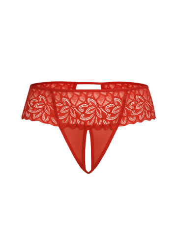 Teyli Ouvert Tanga aus Mesh mit floraler Spitze Rossu in rot