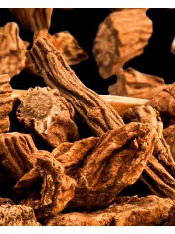 Yodeyma Eau de Parfum Active Man 15 ml