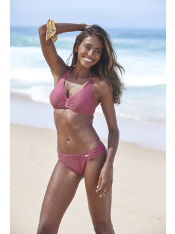 Bikinis sunseeker deals