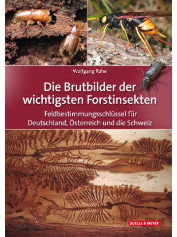 Quelle & Meyer Buch - Die Brutbilder der wichtigsten Forstinsekten