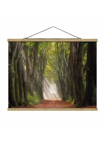 WALLART Stoffbild mit Posterleisten - Herrlicher Tag im Wald in Grün