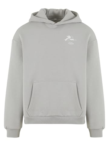 Mister Tee Sweat & Fleece - Hoody in lightasphalt