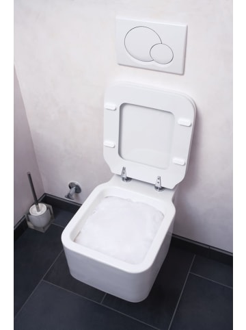 EASYmaxx Reinigungsmittel WC Intensivschaum 1,5kg Transparent