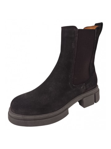 Apple of Eden Chelsea Boot  in Braun
