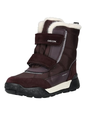 Geox Stiefel in Burgundy