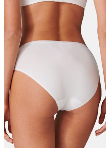 Schiesser Tai Slip 95/5 Cotton in Weiß